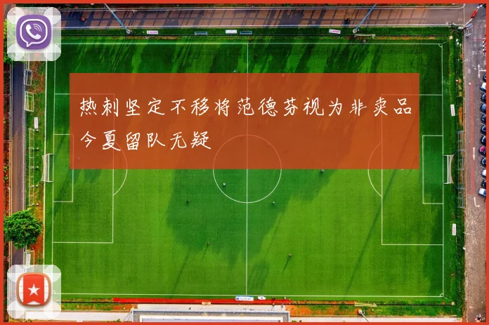 热刺坚定不移将范德芬视为非卖品今夏留队无疑