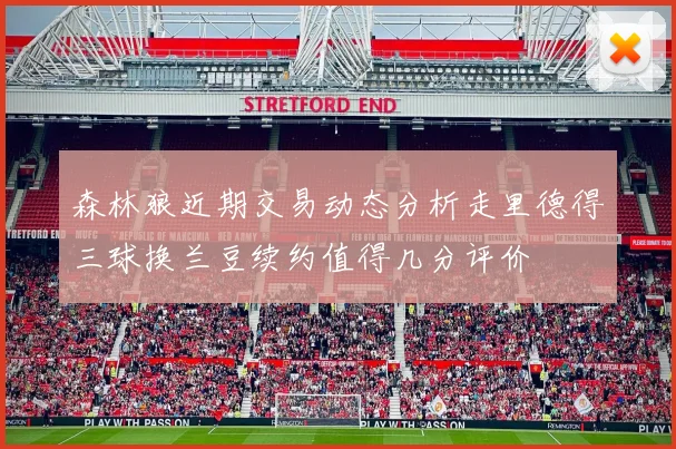 森林狼近期交易动态分析走里德得三球换兰豆续约值得几分评价